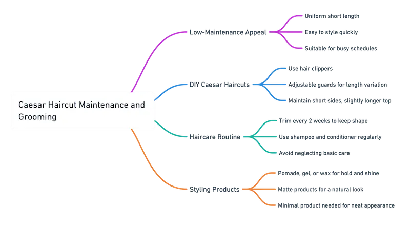 Mindmap of Maintenance and Grooming for a Caesar Haircut